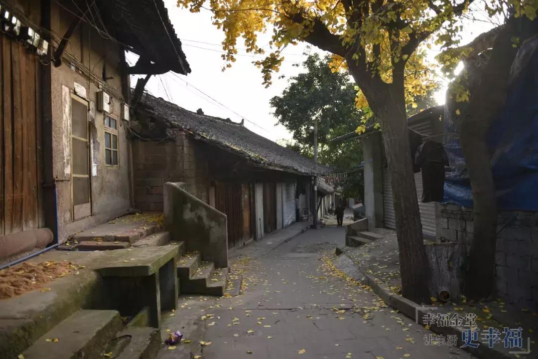 这条老街不仅市井味十足还很文艺,淮州新城古镇