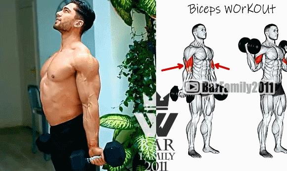 肱二头肌怎么有训练痕迹,肱二头肌没有训练痕迹