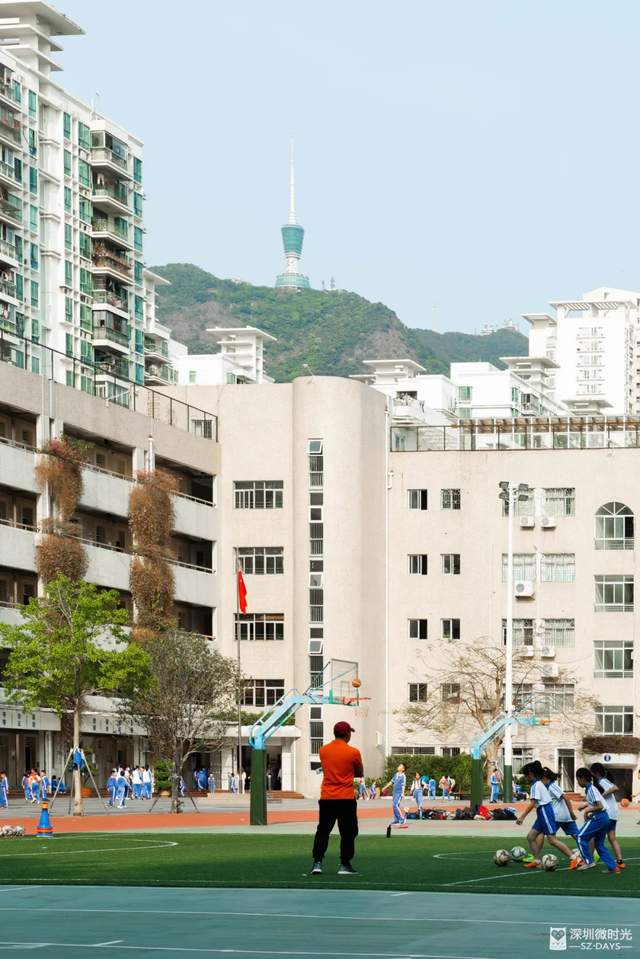 罗湖区莲塘有什么好玩的,罗湖莲塘风景