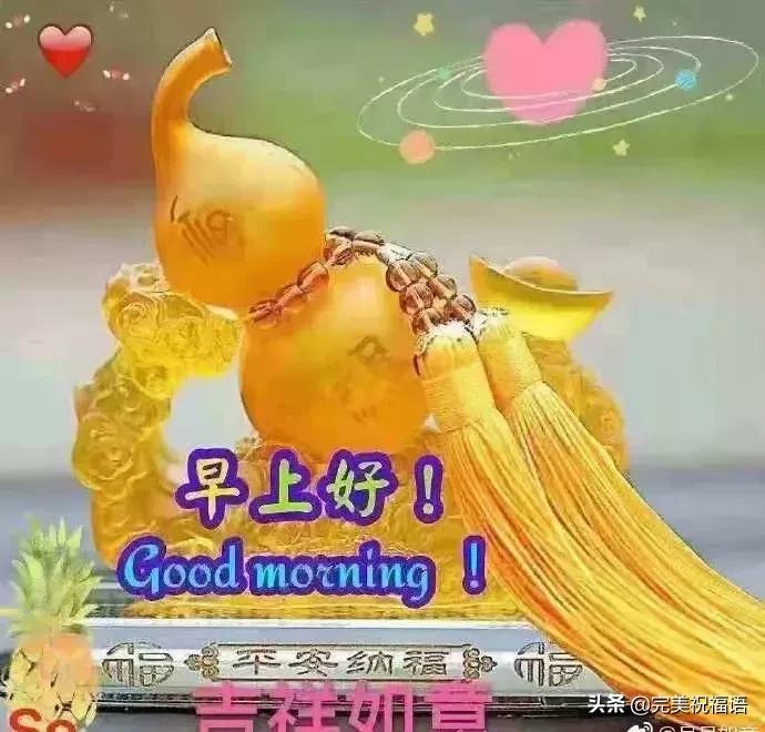 漂亮早上好问候动态鲜花图片带字,超暖心早上好问候祝福语唯美图片