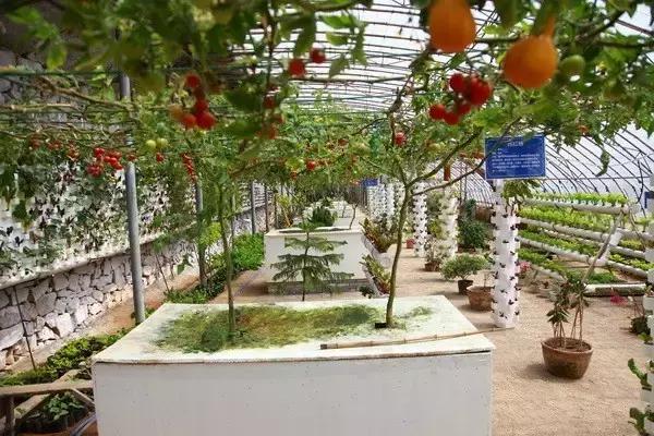 乳山到荣成自驾游攻略,乳山旅游攻略亲子游住宿