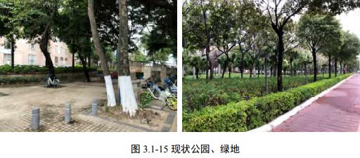 金砂东、大学路、潮汕路，汕头市区多条道路如何提升品质？