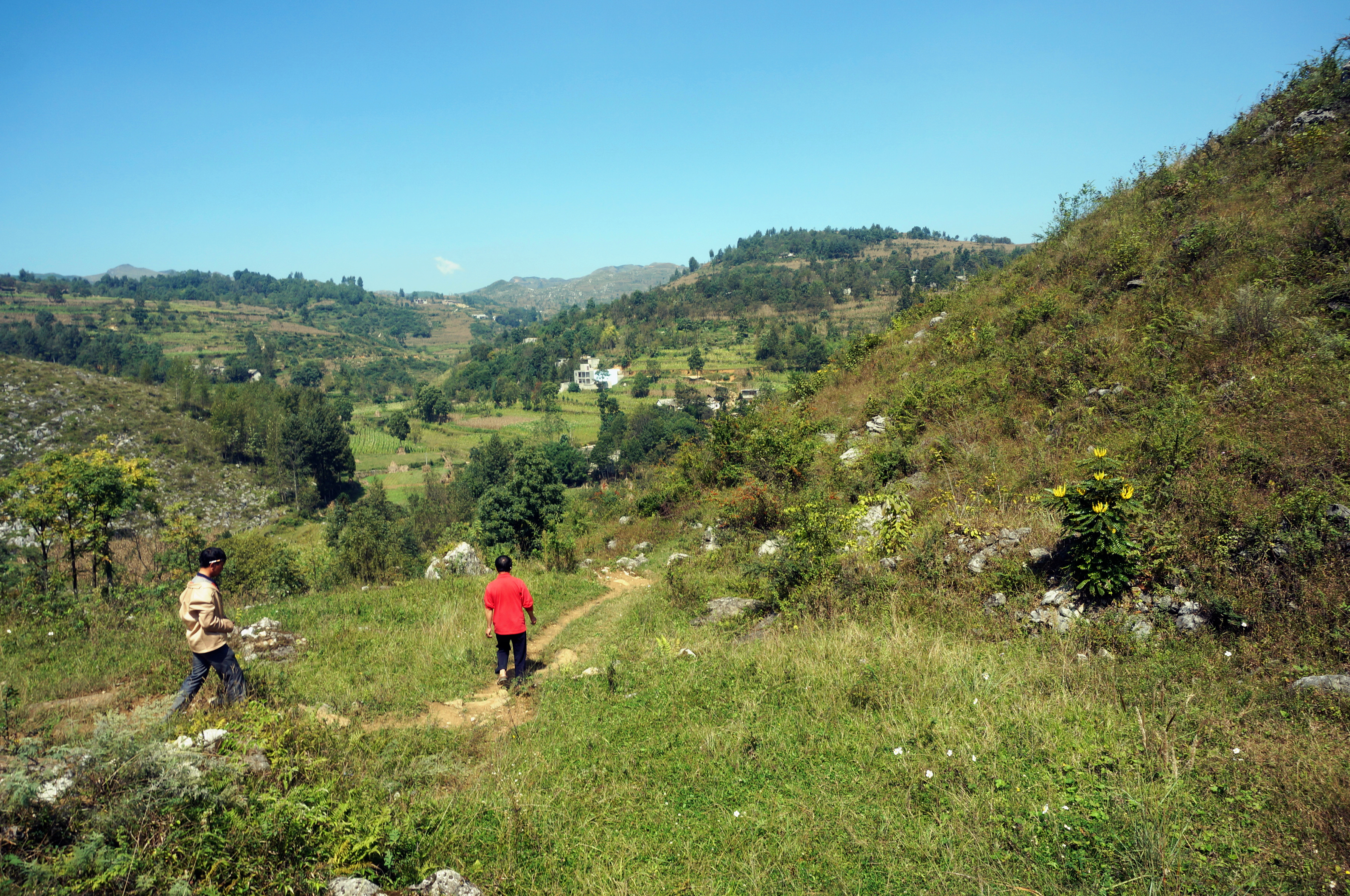 贵州省毕节怎么申请助学补贴,贵州毕节助农政策
