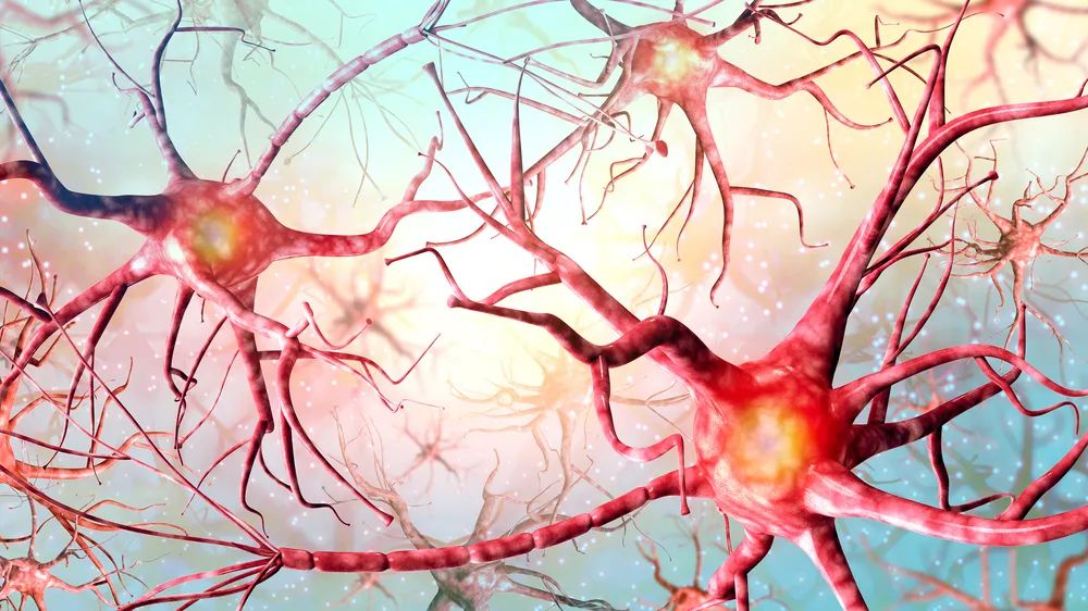 为什么少儿不能喝酒?酒精与学习成绩