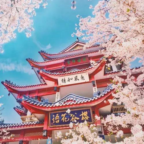 亚洲宜居城市排名2019,中国唯一一个国际评选的宜居城市