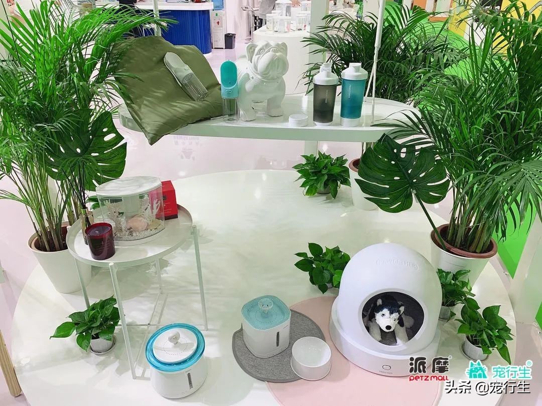 2020CIPS宠物展于广州开展，一大波萌物正在靠近