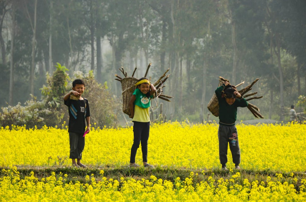 孩子到了扔东西敏感期怎么度过,6岁小孩扔东西应该怎么正确引导