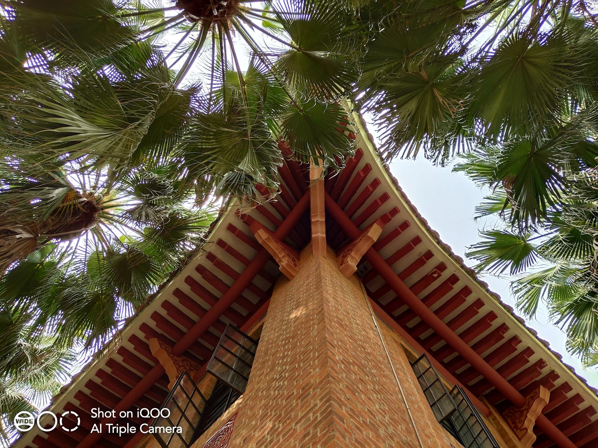 低价高配的iqoo手机测评,便宜的iqoo手机测评