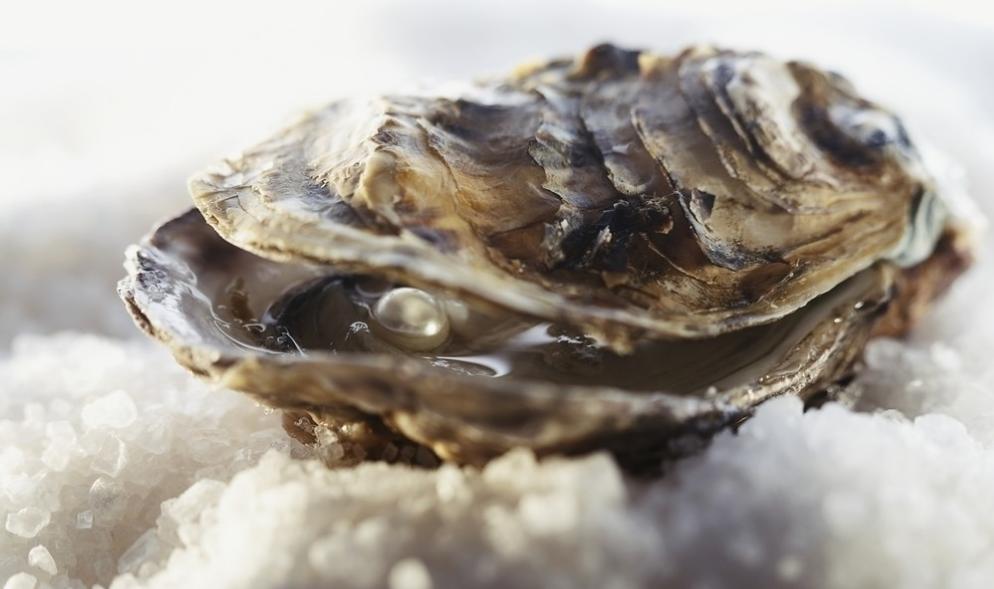 珍珠粉压成的珍珠和真珍珠差别,99%的人不知道的珍珠冷知识