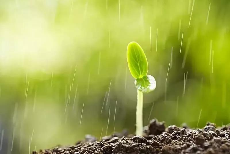 高情商的10大表现你有几个,高情商的六个表现你都知道几个