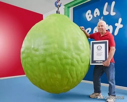 ‘吃饱了没事做’的这些奇葩又沙雕的吉尼斯世界纪录你了解过吗？