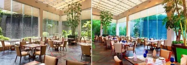 东莞喜来登大酒店，豪华五星自助晚餐，好吃不贵又过瘾