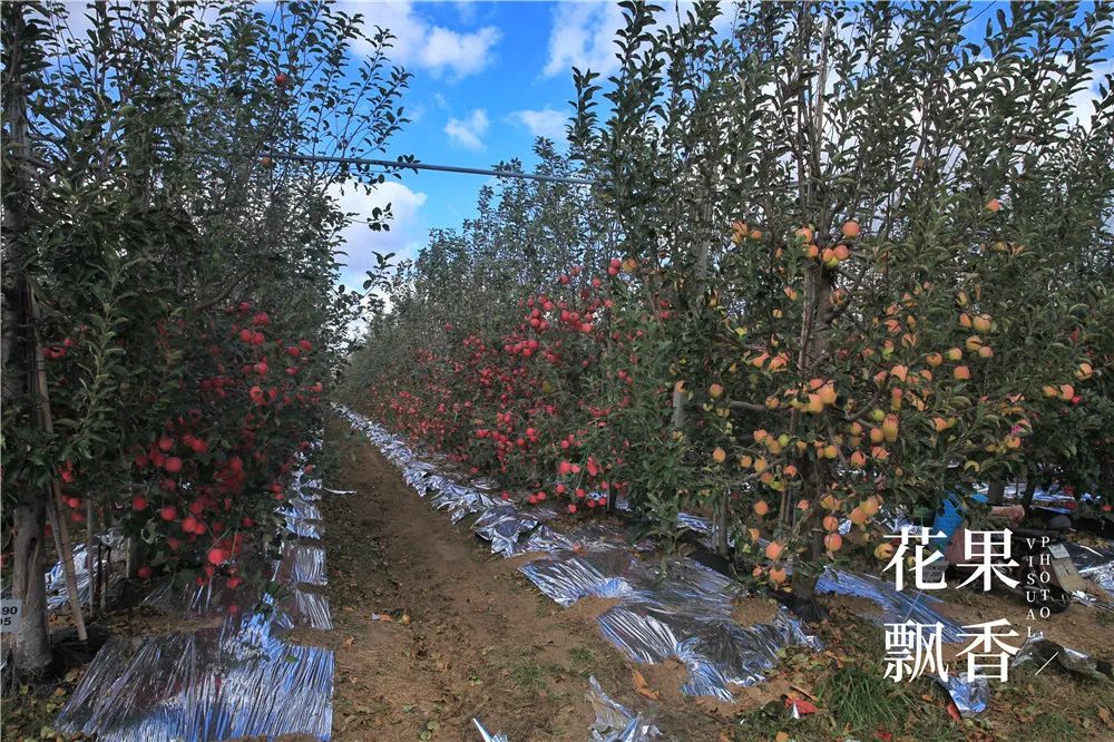 农场用地需要投资多少,农场建设投资