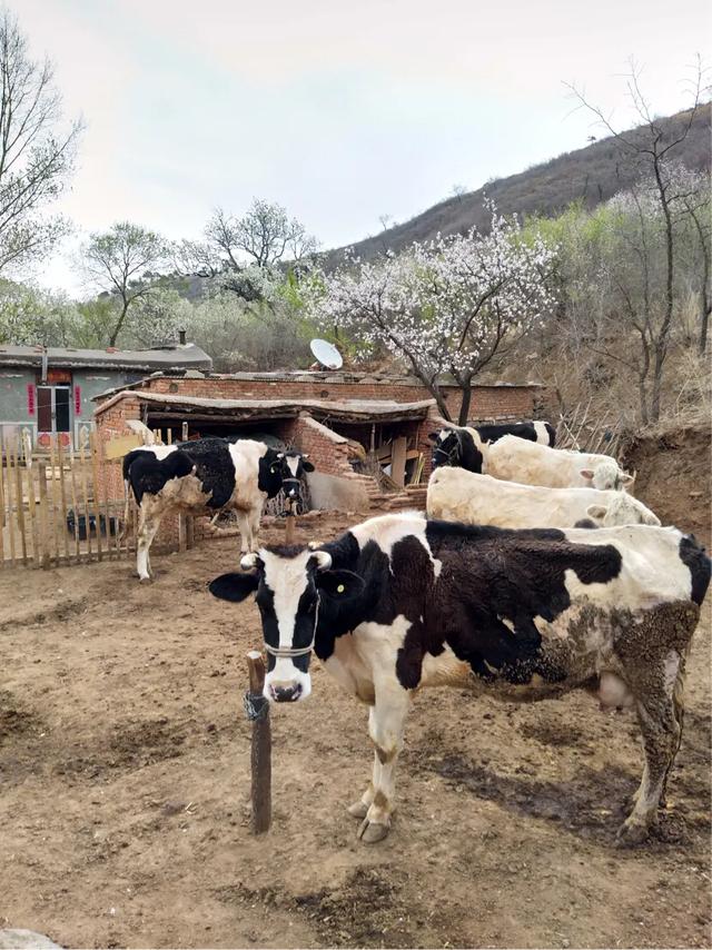 手拍世界微信公众号,手拍世界283期