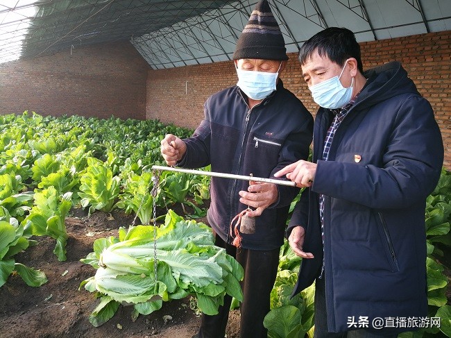 众志成城抗击疫情齐心协力保春耕,抗击疫情不误农时春耕备耕