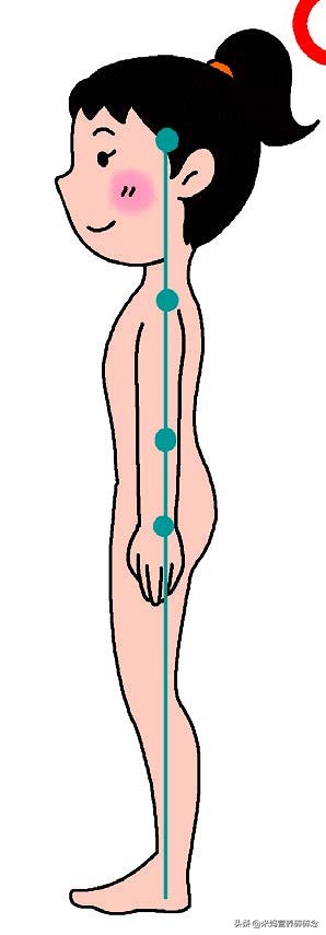 小腹突出骨盆前倾怎么锻炼,小腹挺起的动作