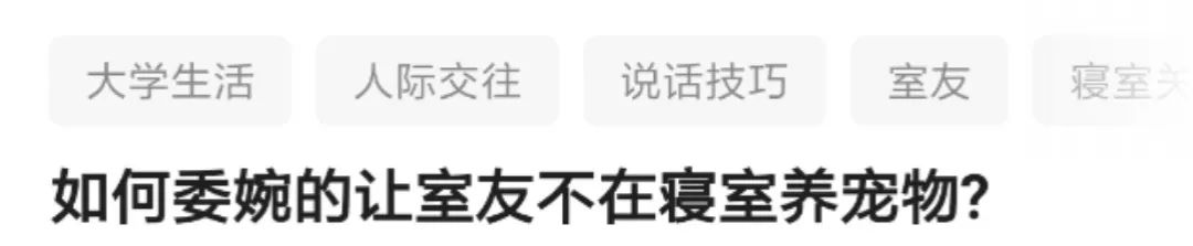 那些年舍友养过的奇葩宠物,你们身边的人都养什么奇怪的宠物