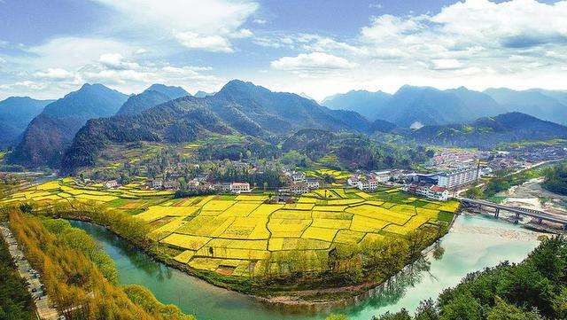 中国赠送日本最珍贵的动物，并非大熊猫，帮助日本皇室摆脱尴尬