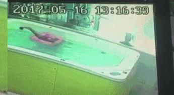 带宝宝去的婴儿游泳项目关了,知道真相后,我把婴儿游泳这词删了