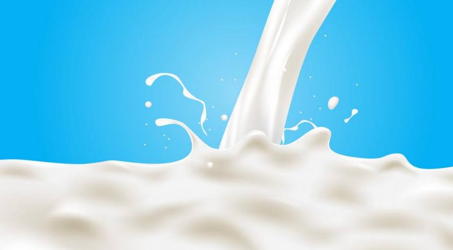 饲养巴哥犬,饲养巴哥利润