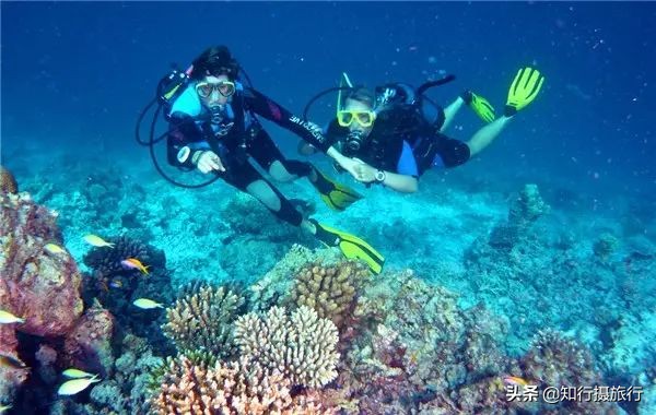 马尔代夫岛自由行攻略,马尔代夫居民岛穷游攻略