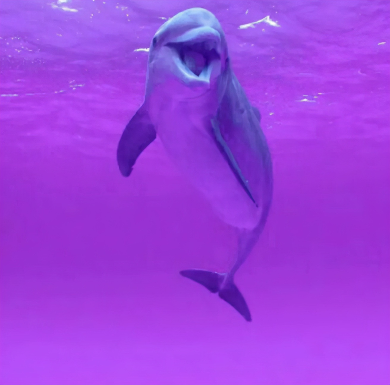 古代探案仵作类小说,古代悬疑破案小说簪中录