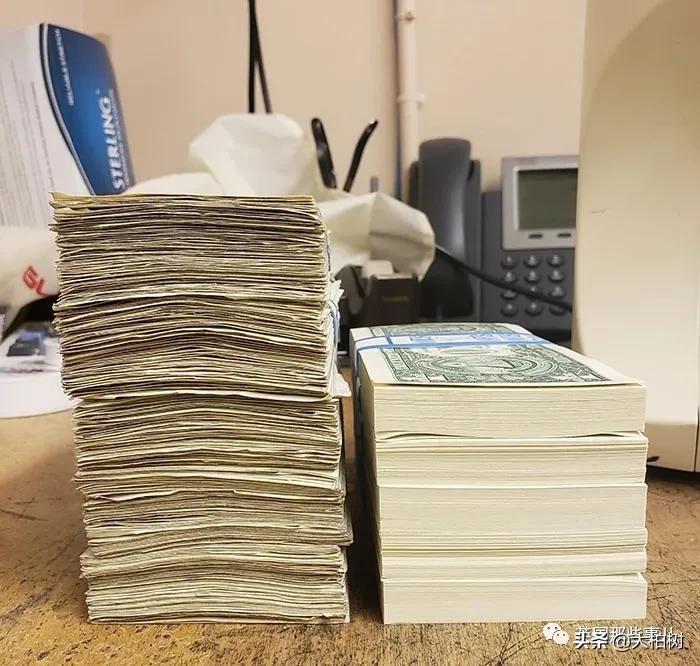 蓝鲸到底有多大,直观感受蓝鲸有多大