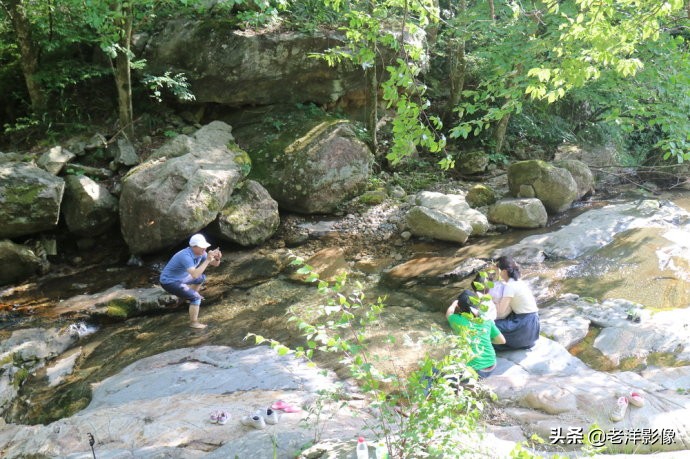 藏龙大别山度假酒店,罗田天堂寨藏龙大酒店价格