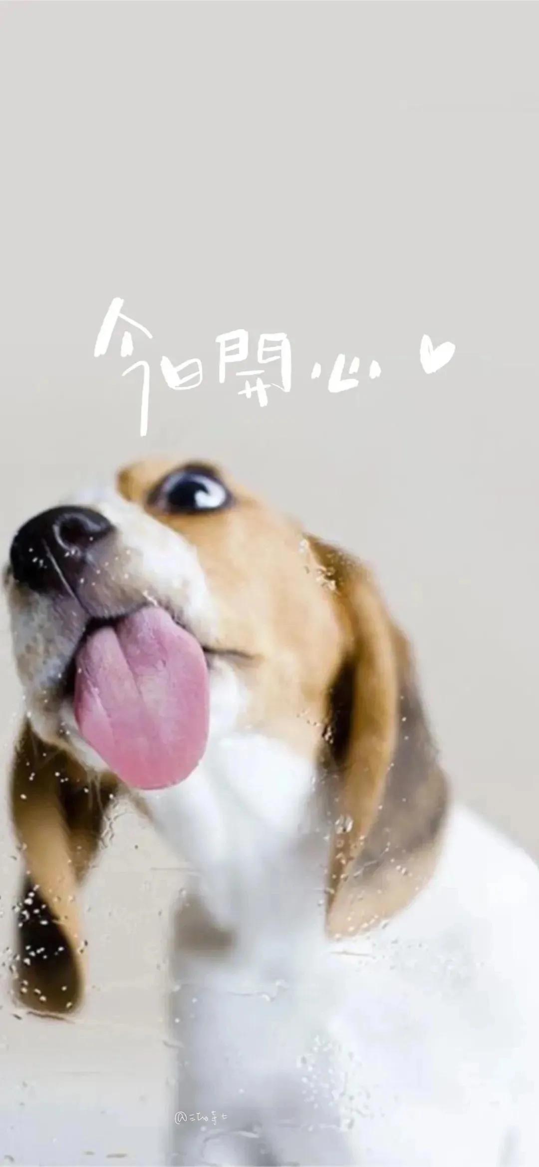 壁纸主题商店主题壁纸大全21,最新手机壁纸高清壁纸