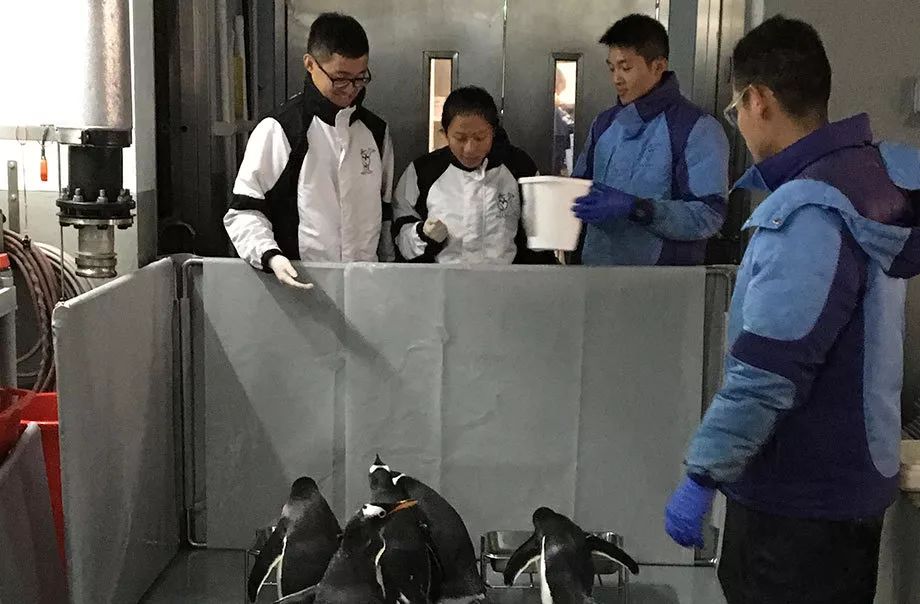 香港海洋公园门票多少钱,香港海洋公园门票票价