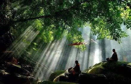 这才是中国的传统文化，每个国人都该看看