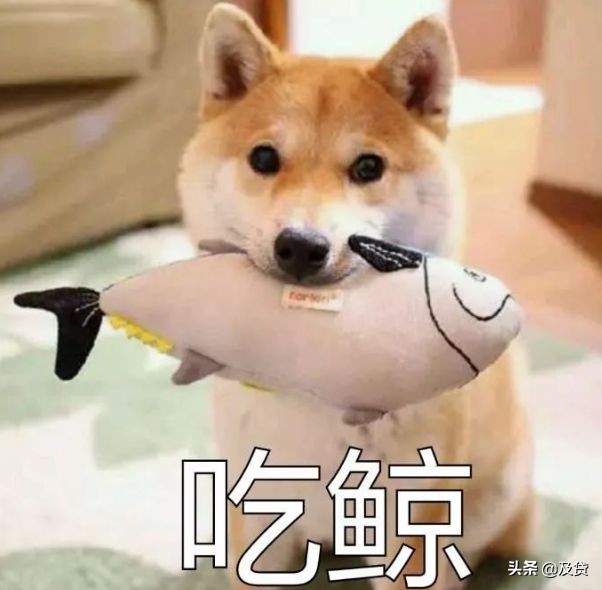 吴秀波与陈昱霖的始末,王思聪怼吴秀波陈昱霖