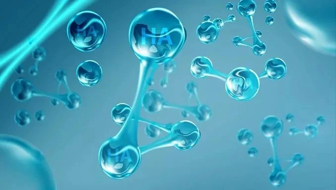 宠物玻尿酸,双分子玻尿酸宠物