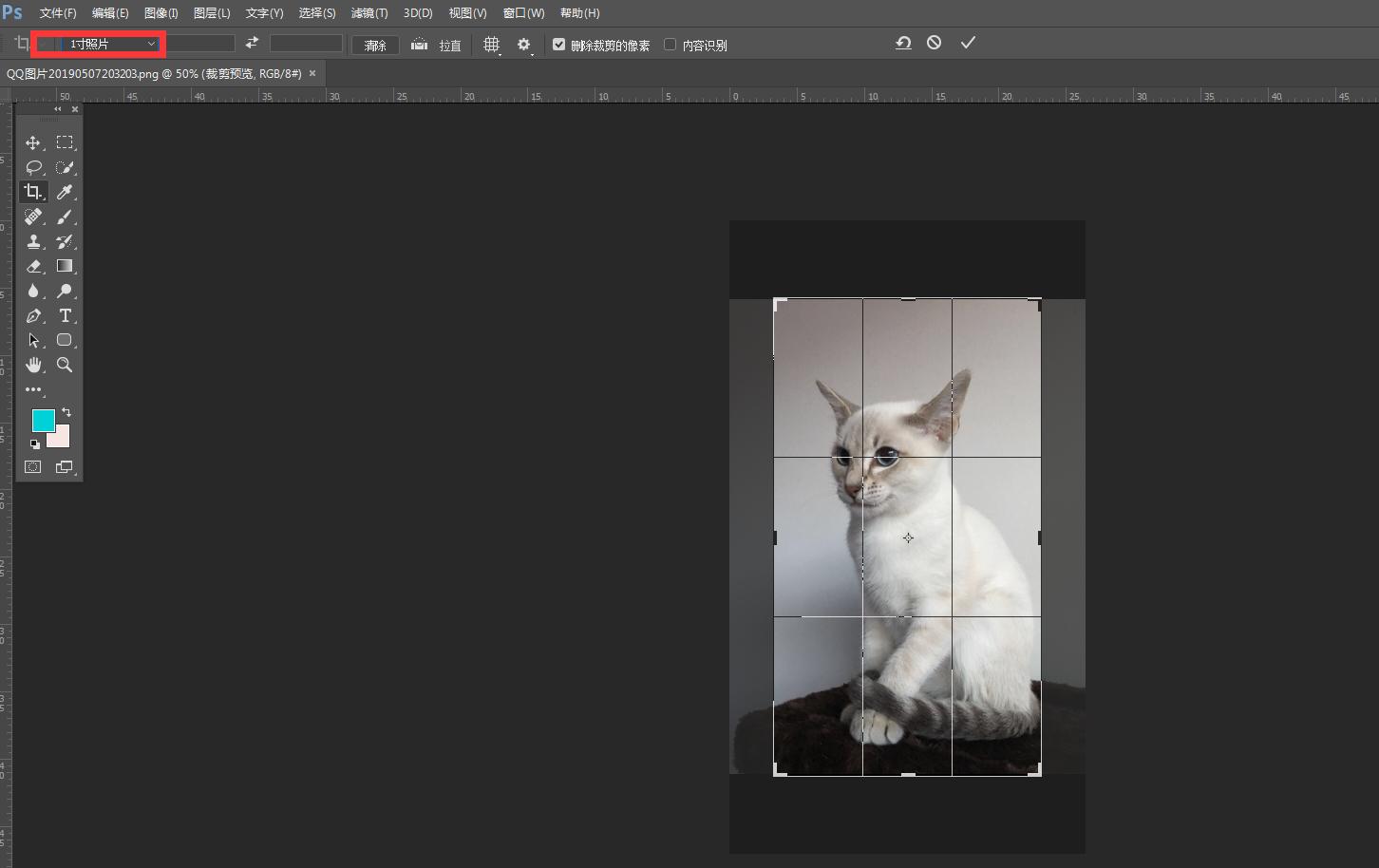 白底照片怎么拍怎么制作,如何制作无接缝照片教程