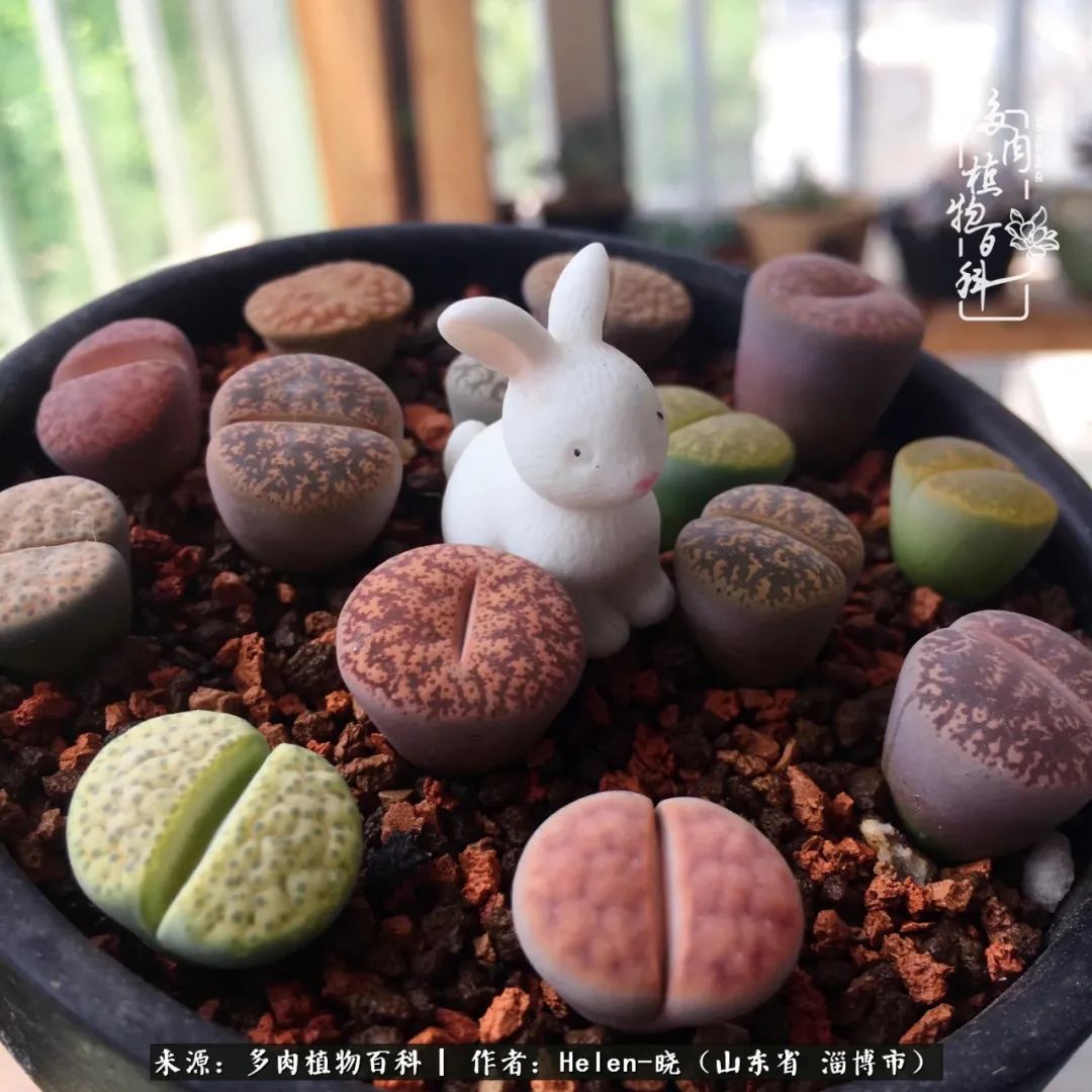 人到中年温暖如初,人到中年岁月静好