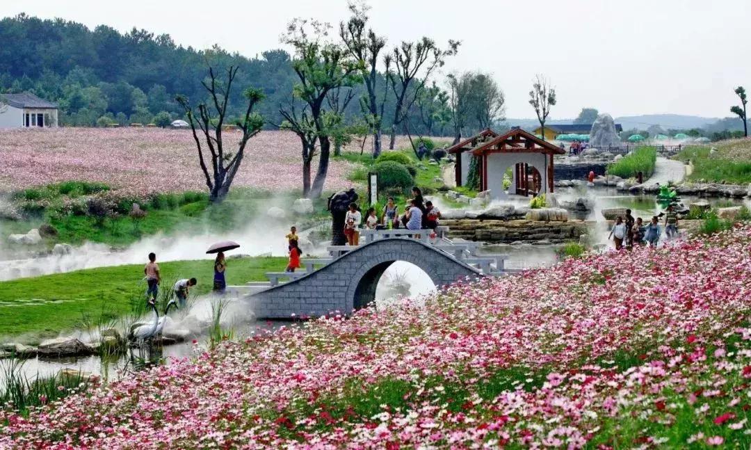 住在黄陂的人好幸福,住在黄陂的人真的很幸福吗