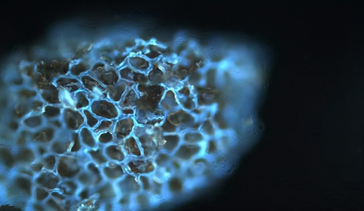 冰淇淋的神奇,冰淇淋的科学原理