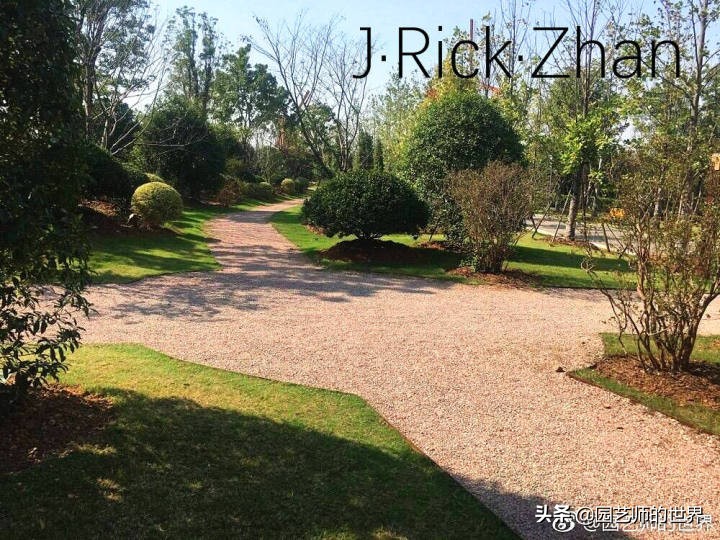 高尔夫果岭草坪家庭院子种植,麦冬草坪种植方法和注意事项