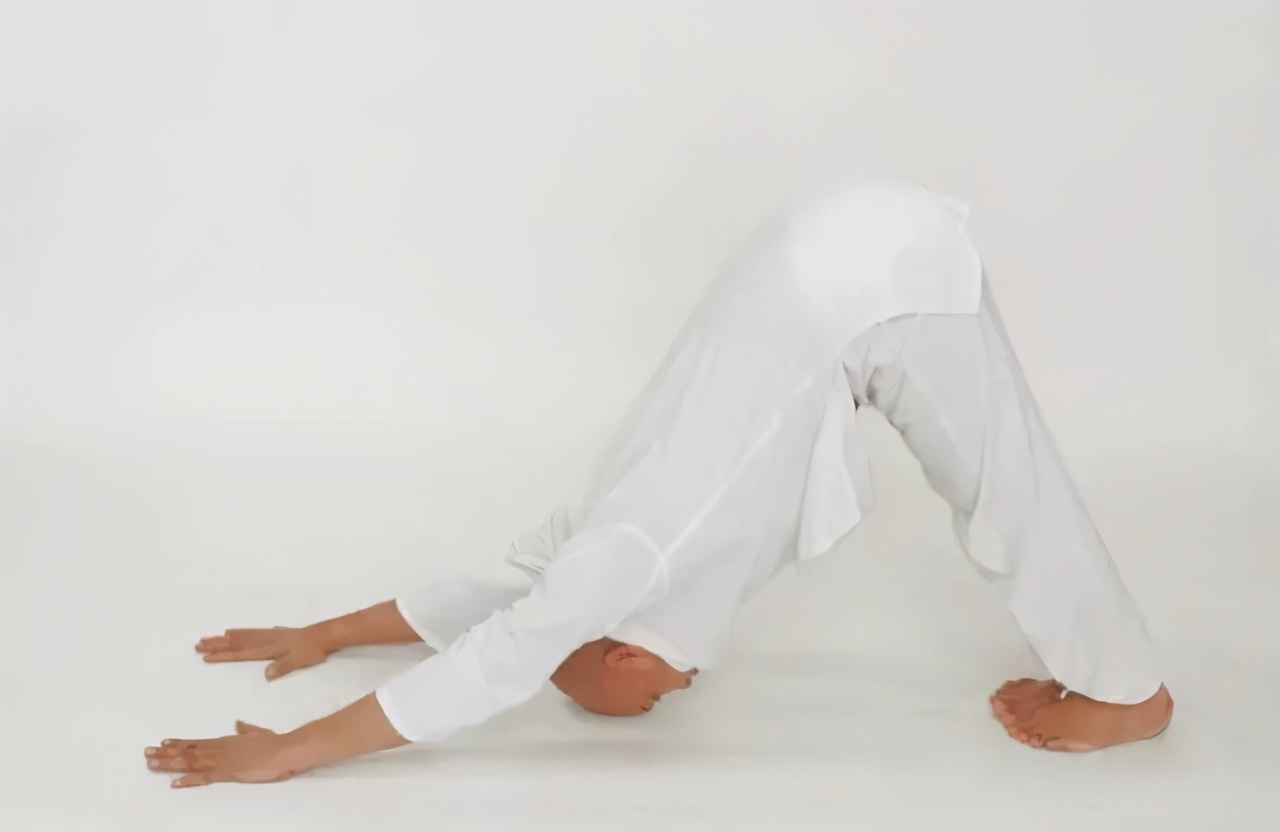 “我”偷走了你的天鹅颈、直角肩，人鱼背