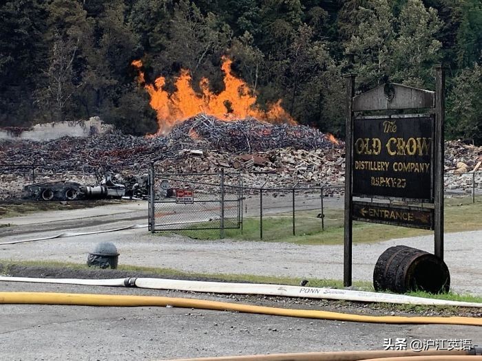 把5000块钱放进微波炉加热消毒，会发生什么？网友分享作死瞬间