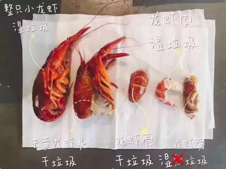 关于垃圾的灵魂拷问,来自灵魂的拷问你快乐吗