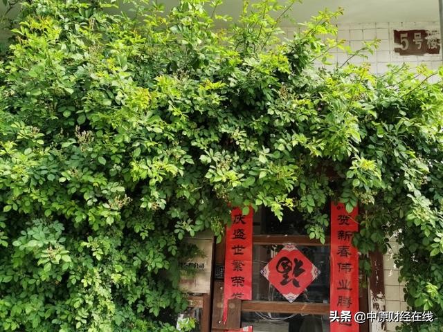 股市最新判断题及答案解析,股市入门基础知识100题及答案