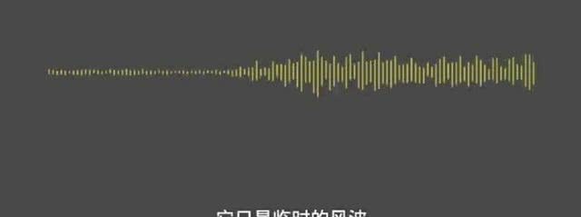 临时风波？DG*制抵**能坚持几天？难道中国人真的没有骨气吗？