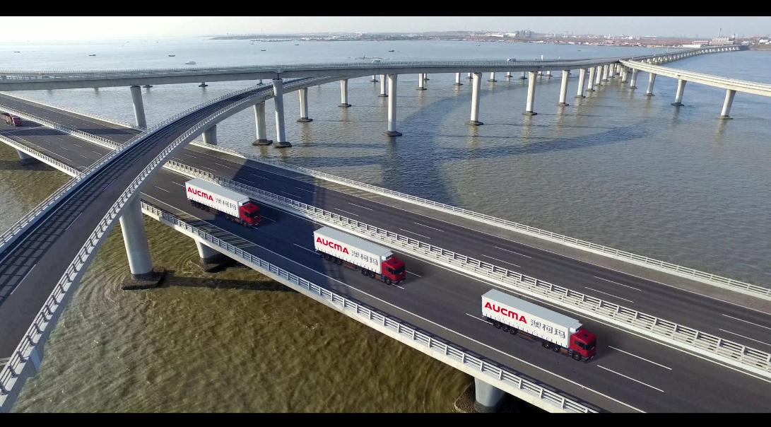 澳柯玛双门柜,澳柯玛获2020年中国好口碑品牌