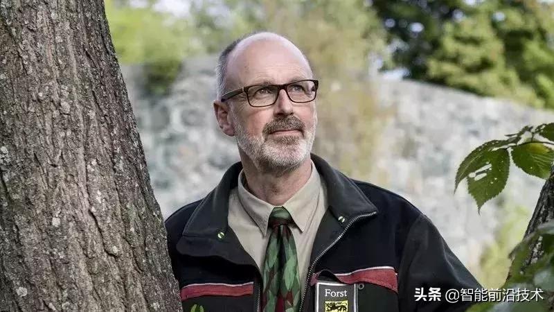 神奇“树联网”,地球本身是一个巨大的超生物体