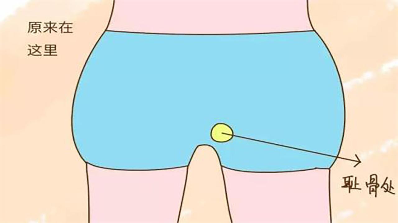 孕妇耻骨疼怎么缓解孕期,孕期耻骨疼是什么原因怎么缓解