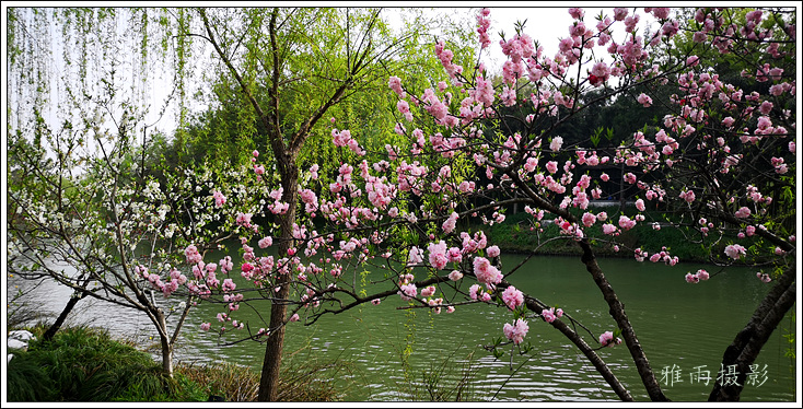 扬州夏日的瘦西湖风景,三月的扬州瘦西湖