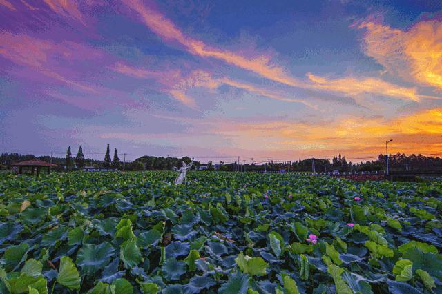 欢呼！余杭9条精品旅游线出炉！瓶窑、塘栖、中泰...太惊艳了！