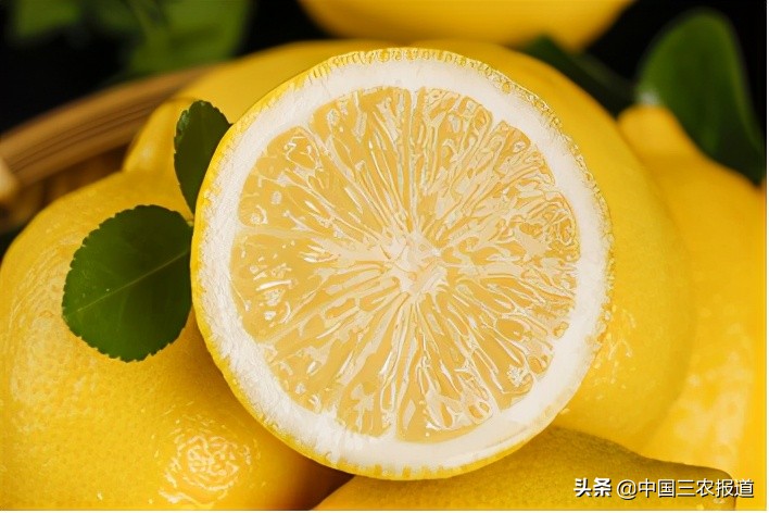 柠檬的酸度相当于醋的多少度,柠檬的糖度和酸度