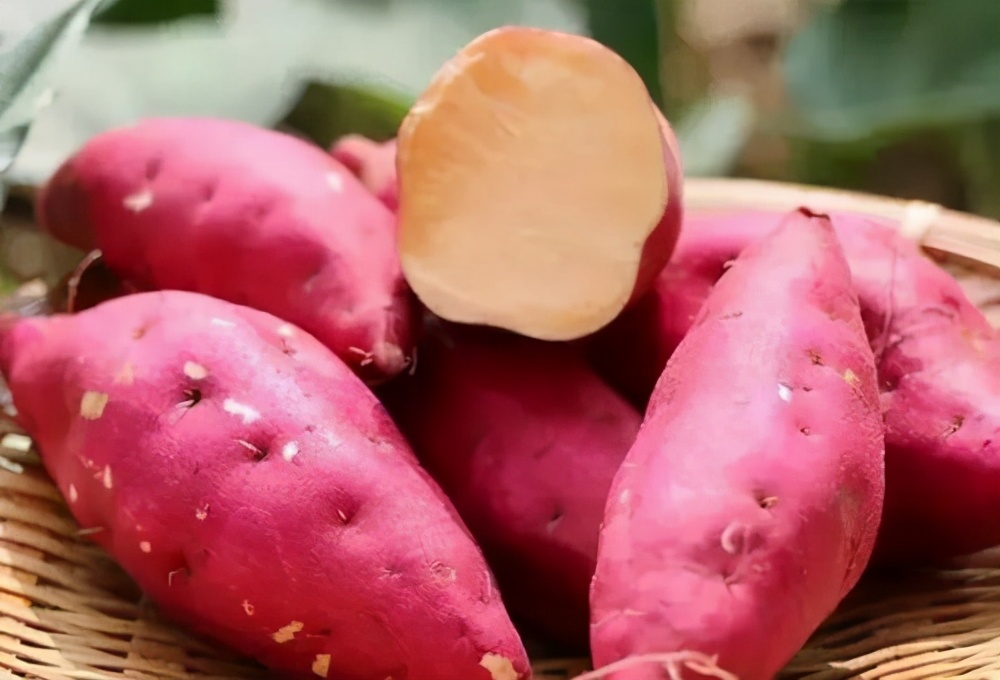 蒸红薯和水煮红薯哪个升糖比较快,蒸红薯需要锅上汽以后再放红薯吗